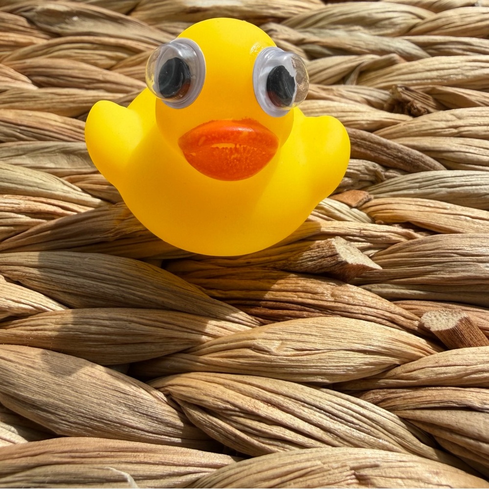 Yellow Rubber Ducky for Decoration